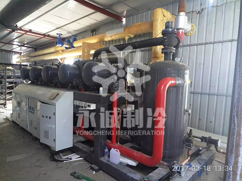 江蘇連云港蒙娜麗莎菇業(yè)有限公司食用菌養(yǎng)菌庫