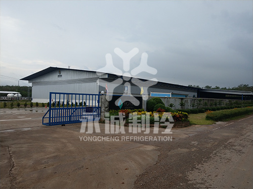 泰國(guó)羅永府榴蓮速凍庫(kù)一期